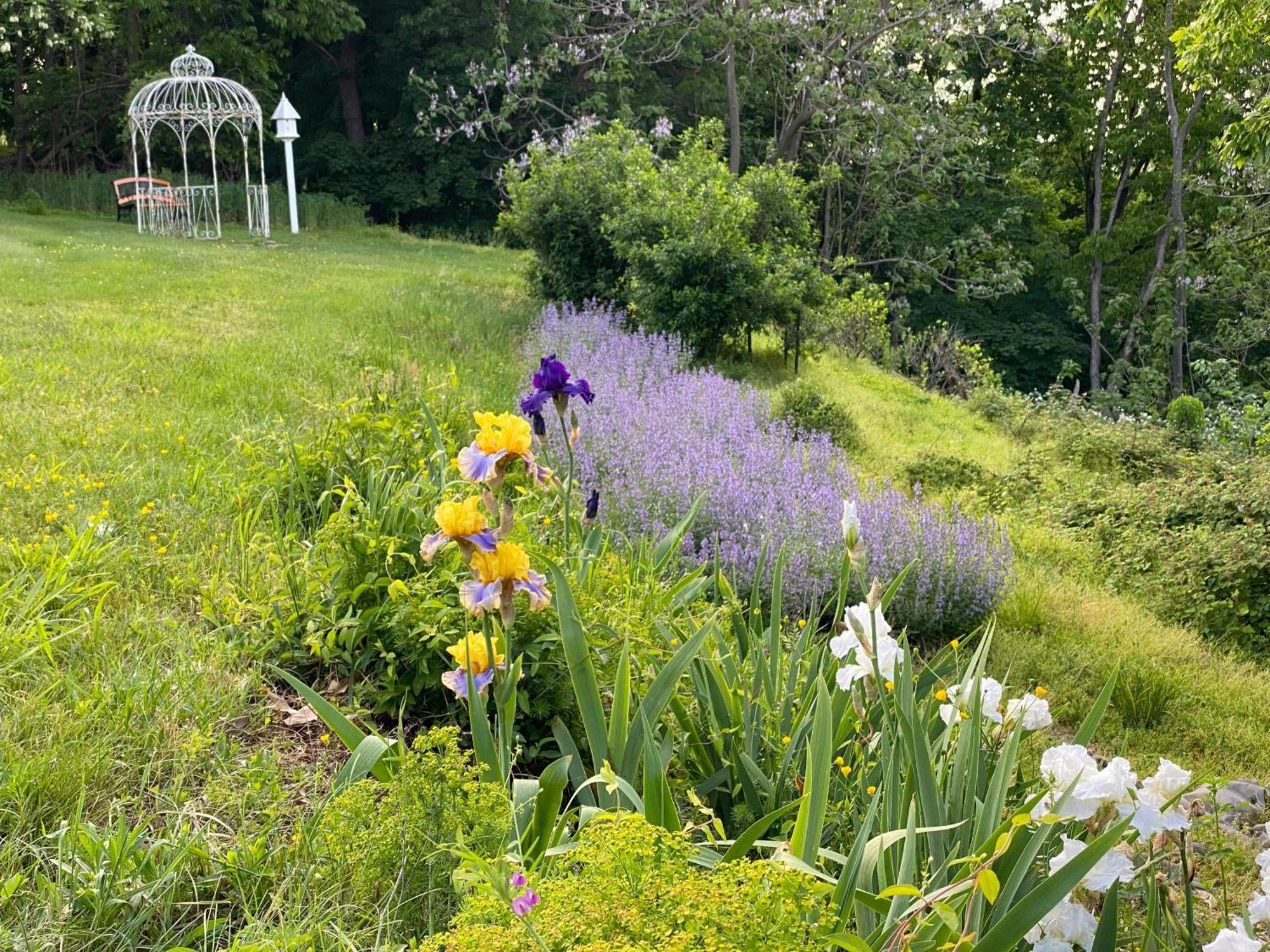 La Soledad Lavender Farm And Guesthouse Harpers Ferry Bagian luar foto